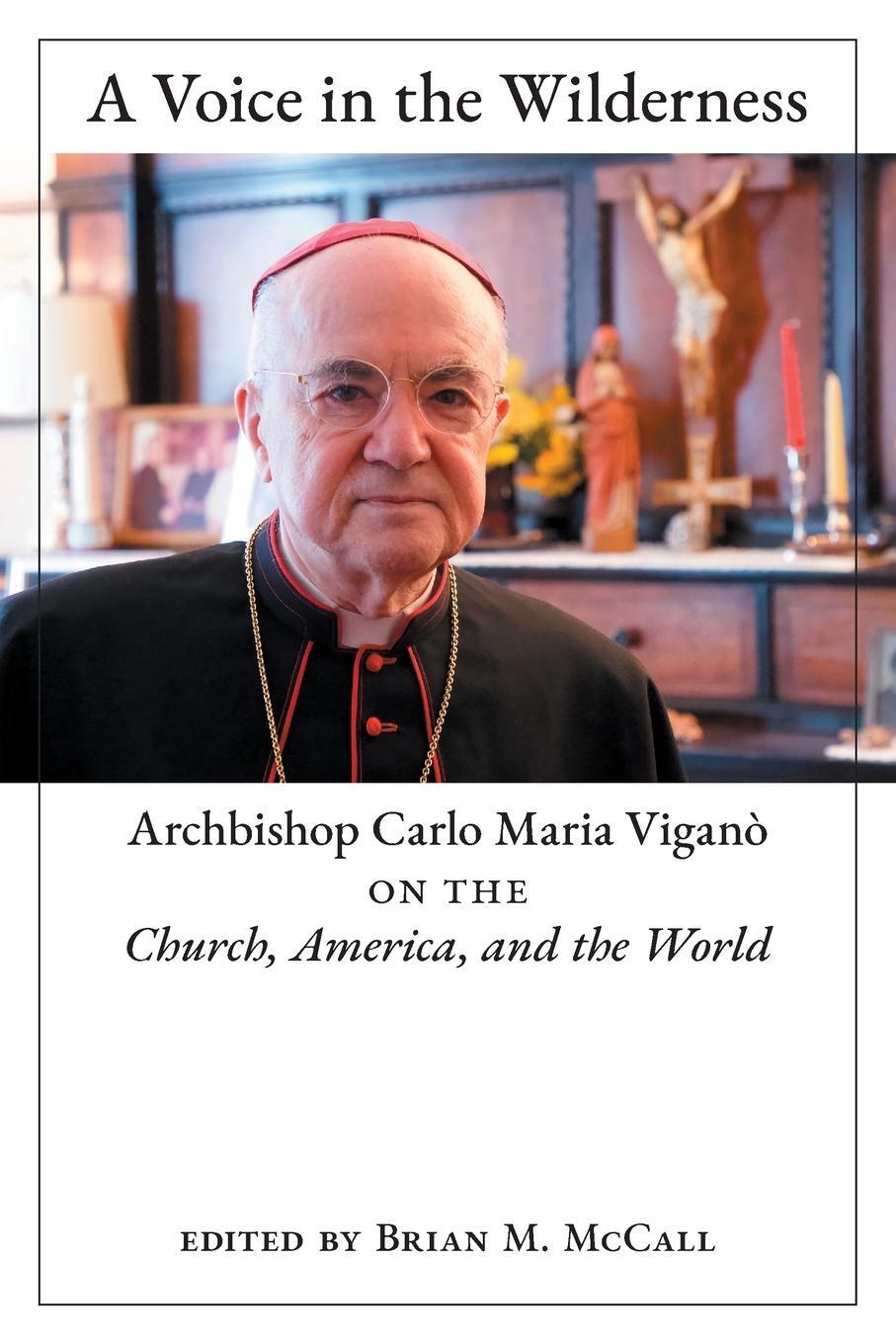 Cover: 9781621386964 | A Voice in the Wilderness | Archbishop Carlo Maria Viganò | Buch