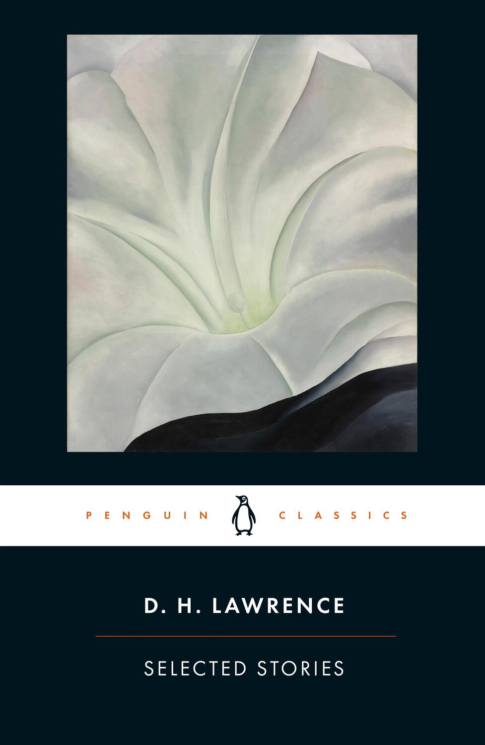 Cover: 9780141441658 | Selected Stories | D. H. Lawrence | Taschenbuch | Englisch | 2007