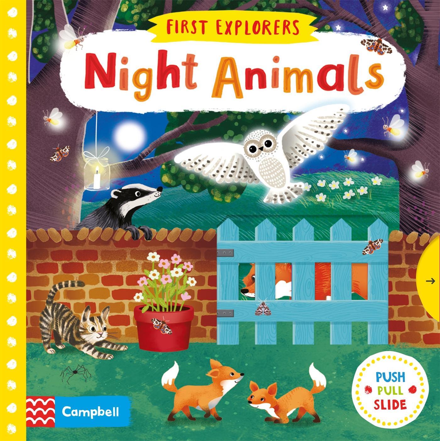 Cover: 9781509832620 | Night Animals | Buch | Campbell First Explorers | Englisch | 2006