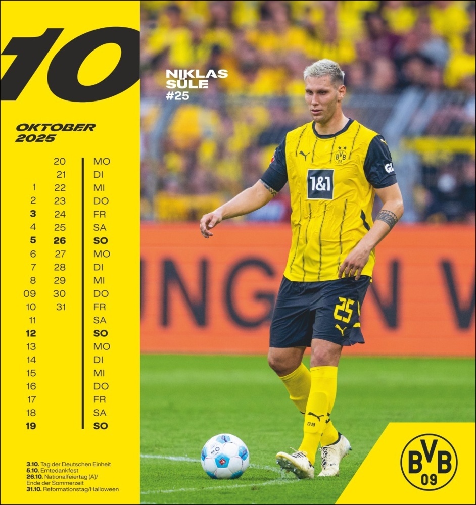 Bild: 9783756405473 | BVB Postkartenkalender 2025 | Kalender | Spiralbindung | 13 S. | 2025