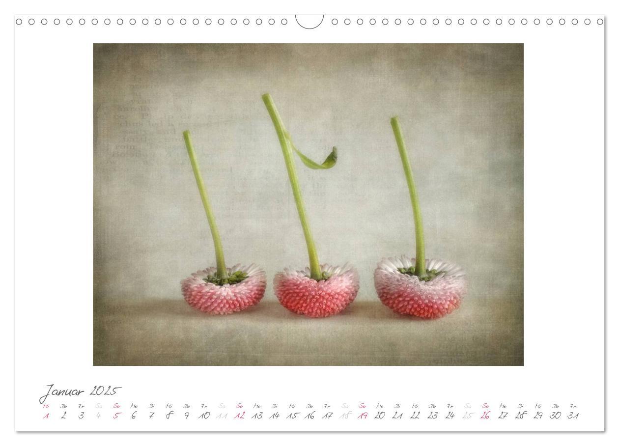 Bild: 9783435787807 | Vintage Flowers (Wandkalender 2025 DIN A3 quer), CALVENDO...