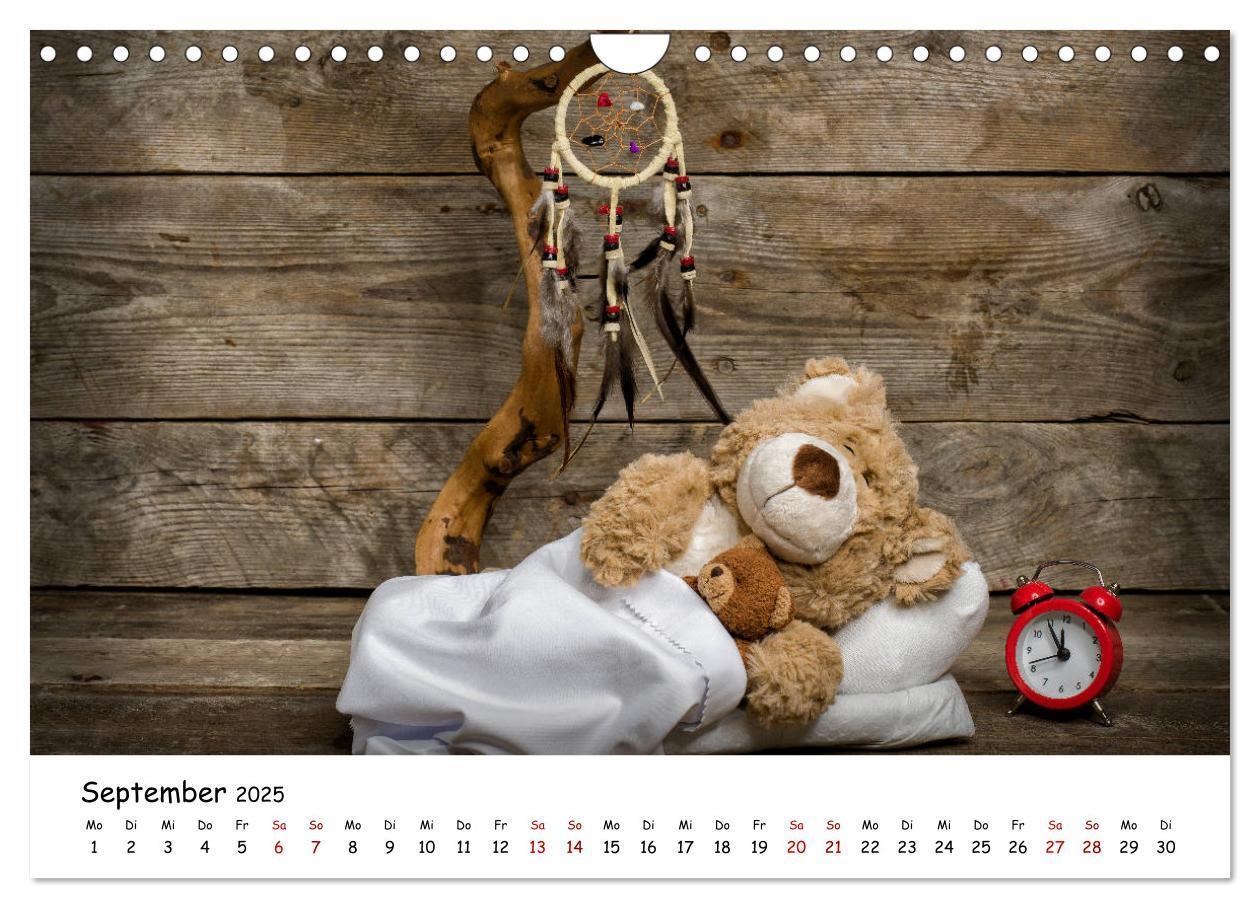 Bild: 9783435254767 | Eddy, der Teddy (Wandkalender 2025 DIN A4 quer), CALVENDO...