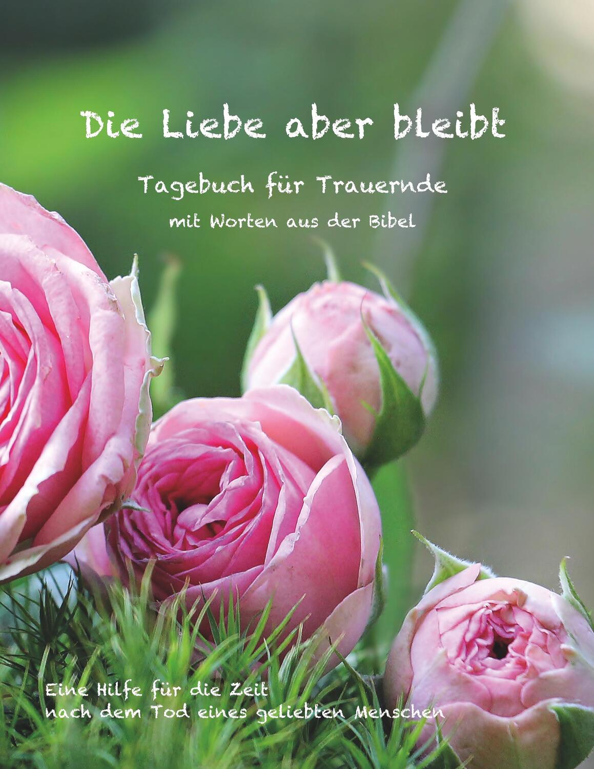 Cover: 9783748146612 | Die Liebe aber bleibt | Ulrike Englmann | Taschenbuch