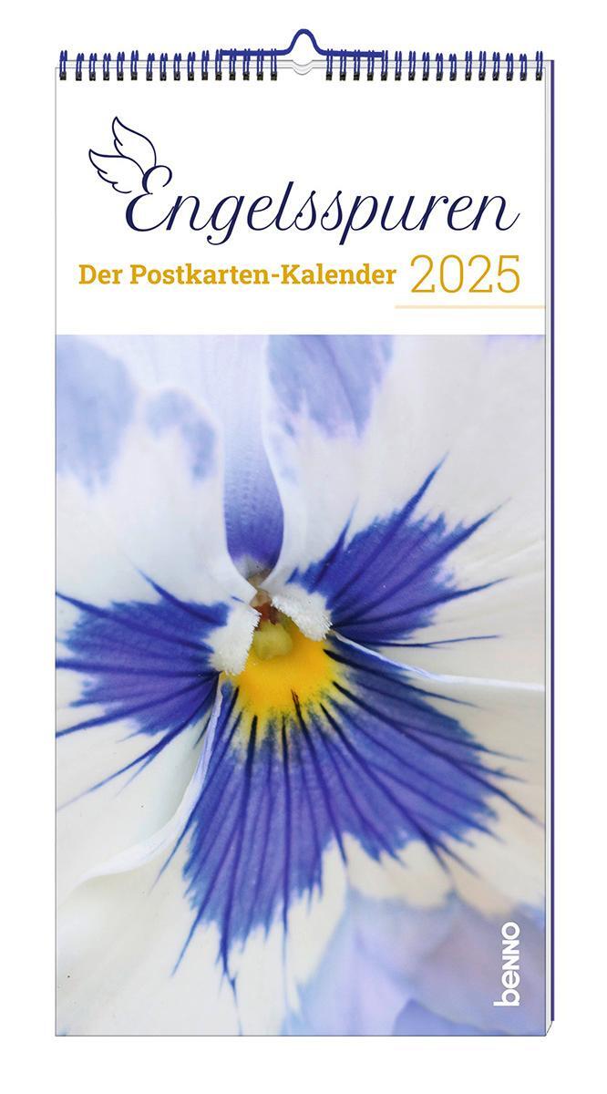 Cover: 9783746265018 | Engelsspuren 2025 | Der Postkarten-Kalender | Kalender | Spiralbindung