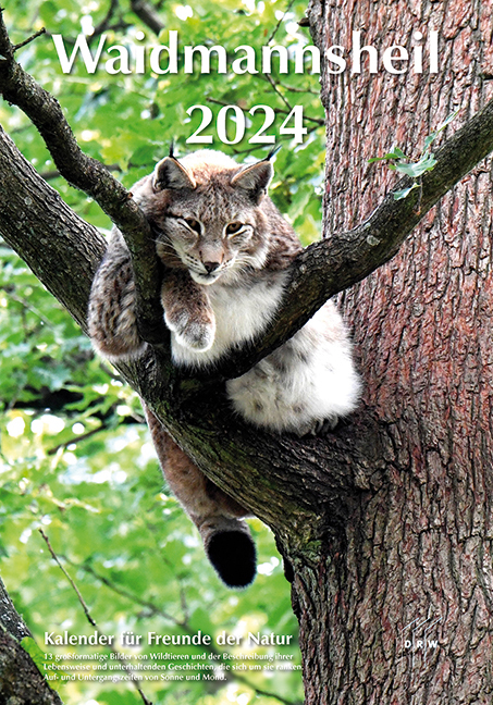 Cover: 9783871819568 | Waidmannsheil 2024 | Kalender für Freunde der Natur | DRW-Verlag | DRW