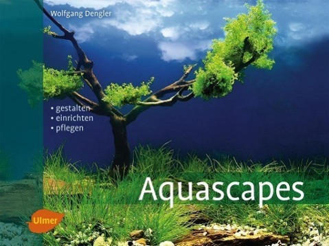 Cover: 9783800178704 | Aquascapes | Gestalten, einrichten, pflegen | Wolfgang Dengler | Buch