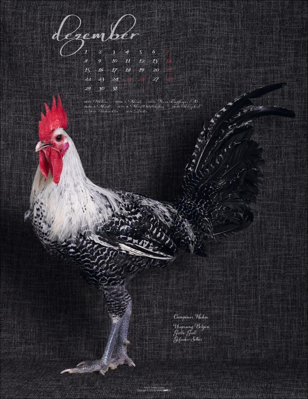 Bild: 9783839901045 | Pretty Chicks Kalender 2025 | Kalender | Spiralbindung | 14 S. | 2025