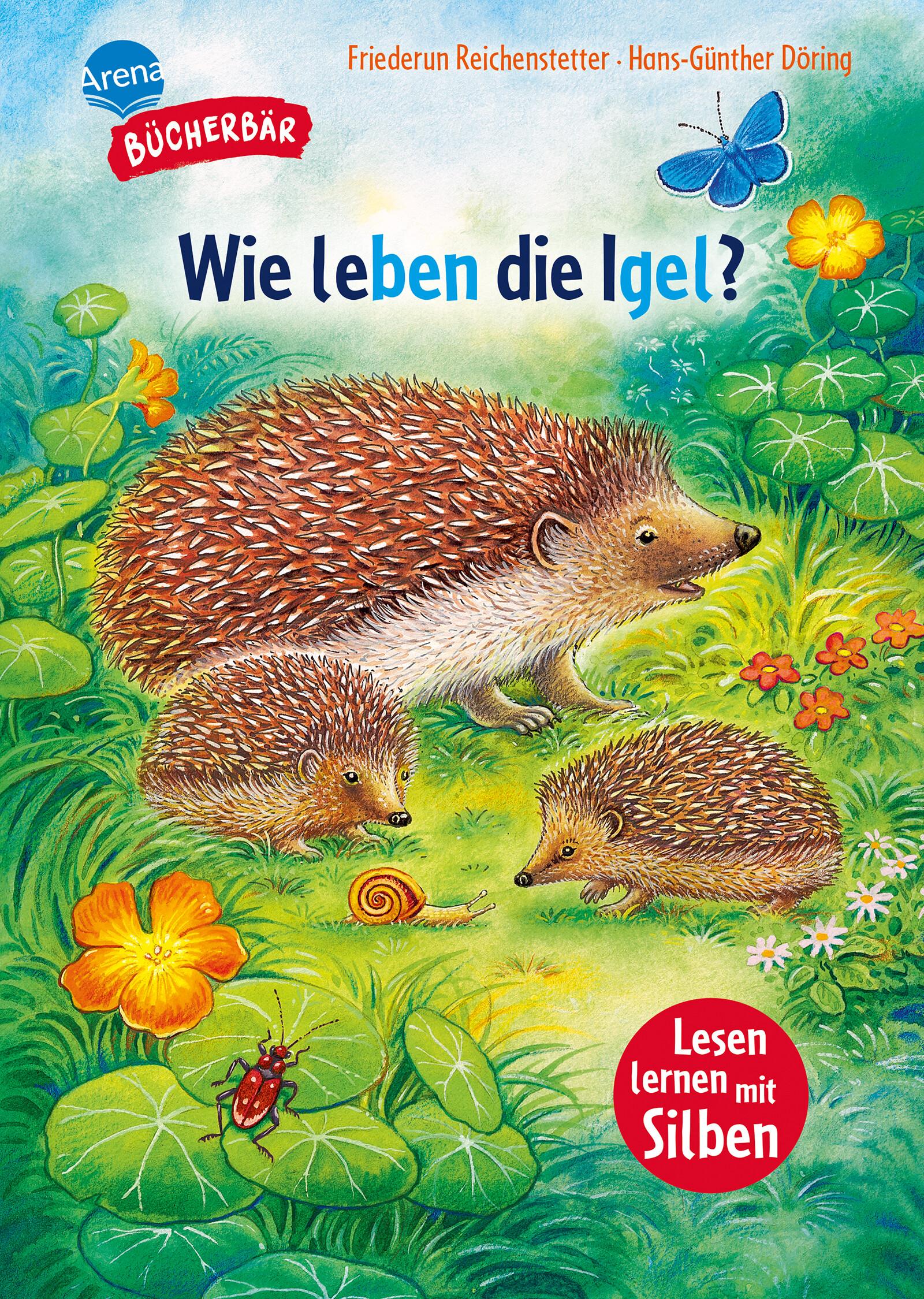 Cover: 9783401721729 | Sachwissen für Erstleser. Wie leben die Igel? | Reichenstetter | Buch