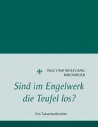 Cover: 9783833489051 | Sind im Engelwerk die Teufel los? | Ein Tatsachenbericht | Taschenbuch