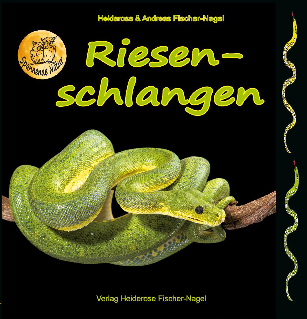 Cover: 9783930038961 | Riesenschlangen | Heiderose Fischer-Nagel (u. a.) | Buch | 46 S.