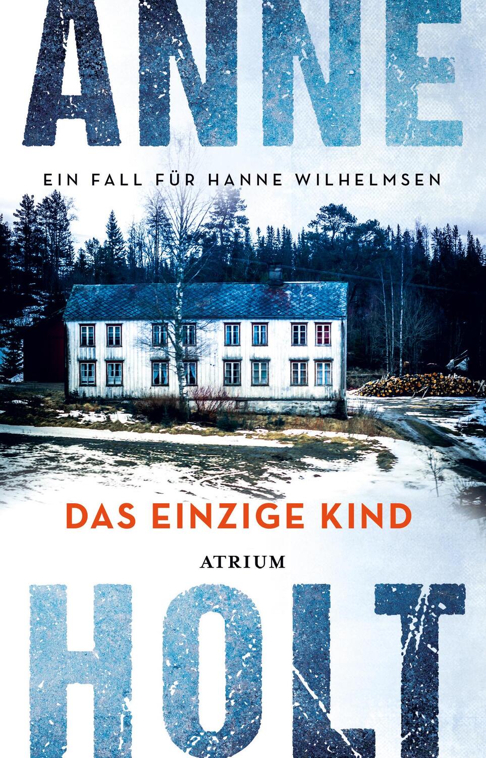 Cover: 9783038821410 | Das einzige Kind | Ein Fall für Hanne Wilhelmsen | Anne Holt | Buch