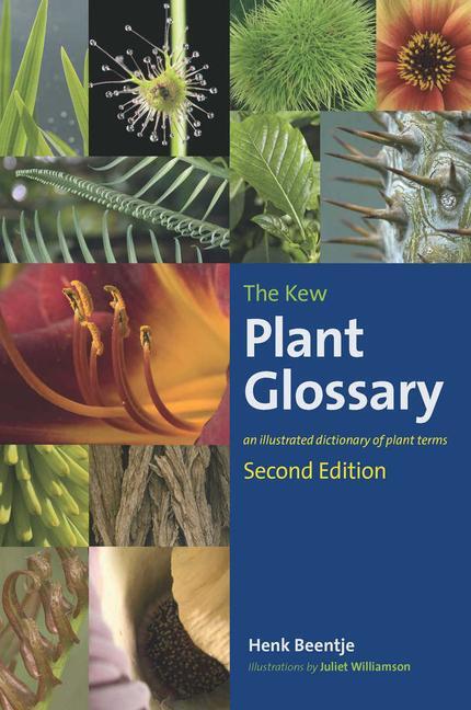 Cover: 9781842466049 | Kew Plant Glossary, The | Second Edition | Henk Beentje | Taschenbuch