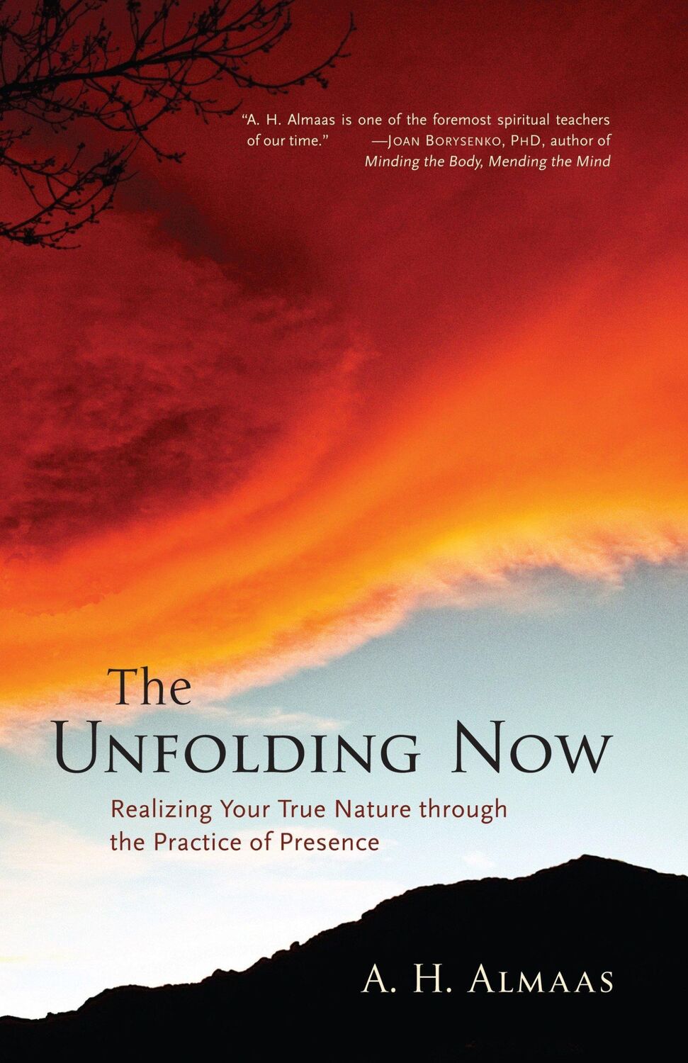 Cover: 9781590305591 | The Unfolding Now | A H Almaas | Taschenbuch | Englisch | 2008