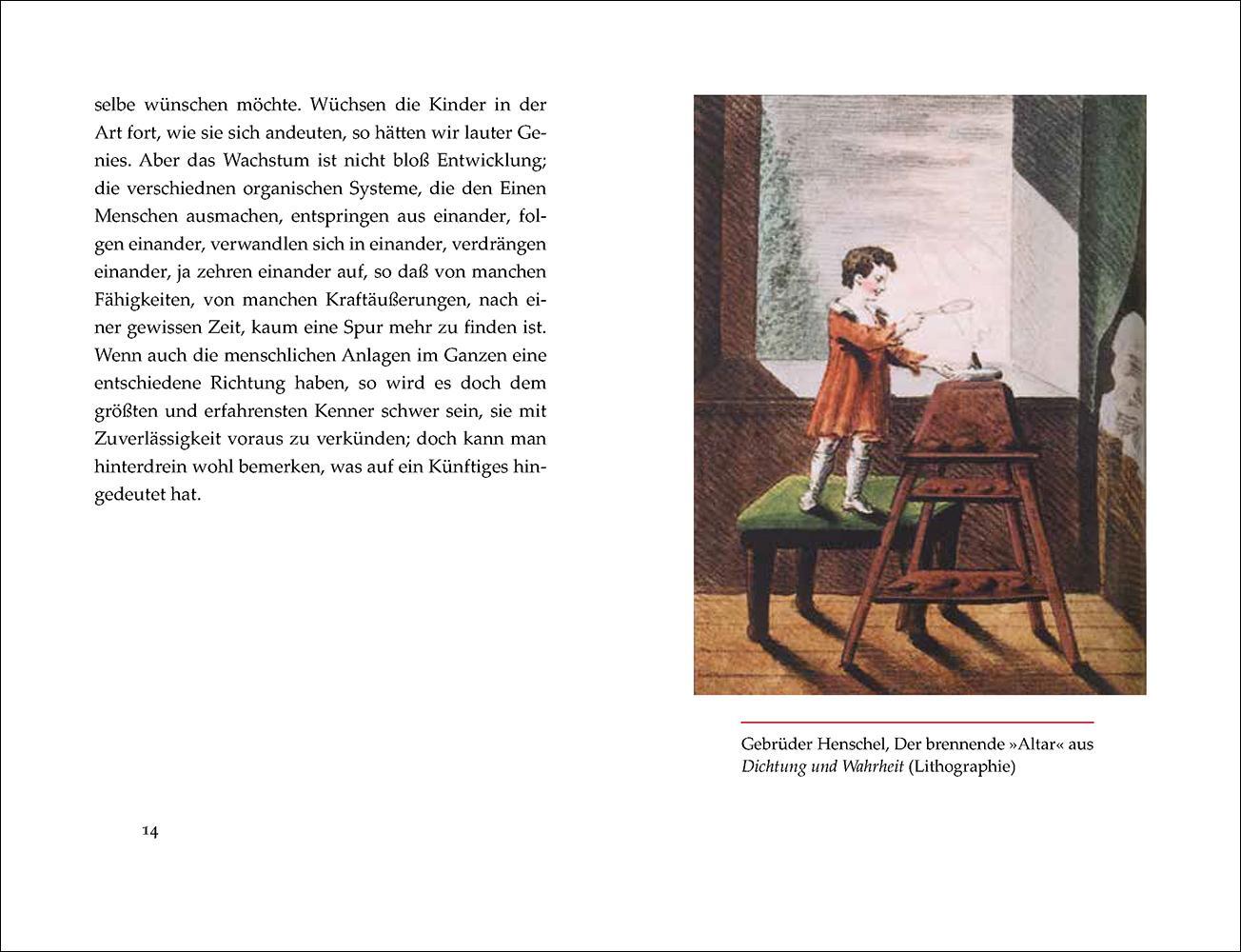 Bild: 9783458194804 | Goethe und die Kinder | Mathias Mayer | Buch | Insel-Bücherei | 83 S.