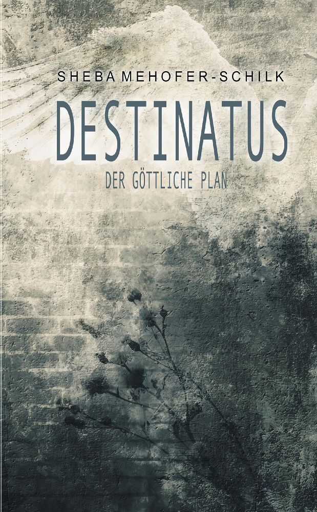 Cover: 9783384025425 | Destinatus | Sheba Mehofer-Schilk | Taschenbuch | 260 S. | Deutsch