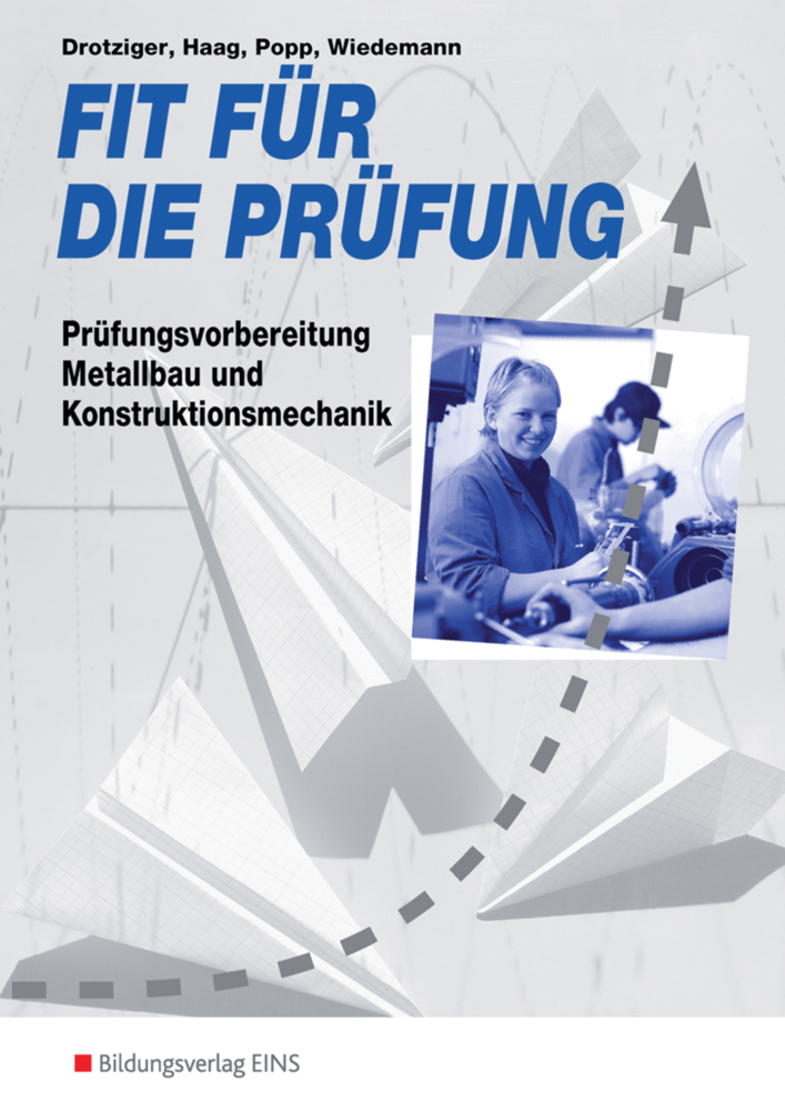 Cover: 9783824201846 | Prüfungsvorbereitung Metallbau und Kontruktionsmechanik | Taschenbuch