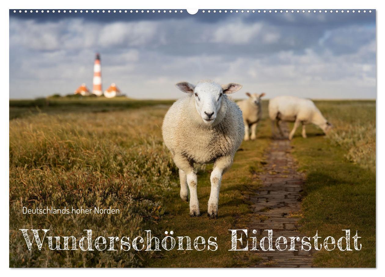 Cover: 9783383700187 | Wunderschönes Eiderstedt (Wandkalender 2024 DIN A2 quer), CALVENDO...