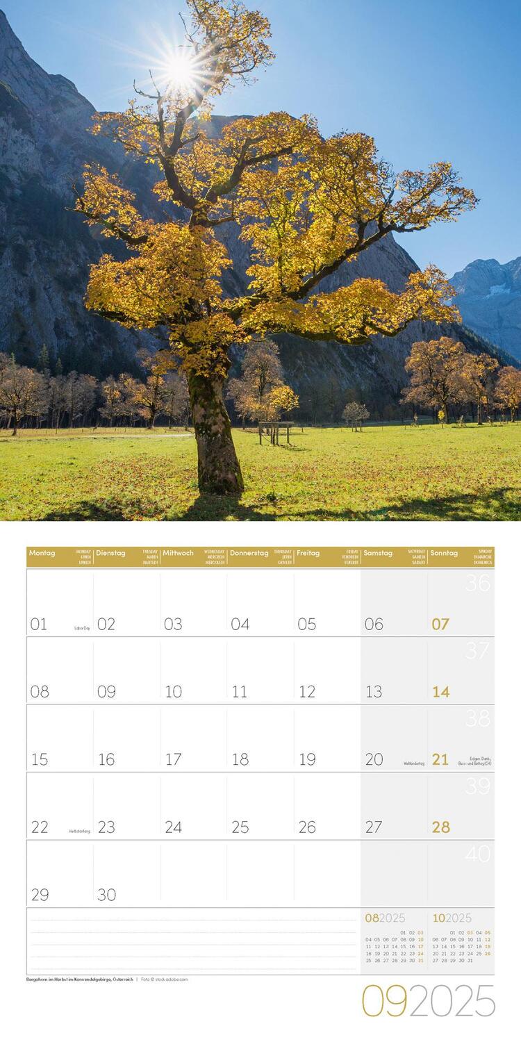 Bild: 9783838445106 | Magie des Lichts Kalender 2025 - 30x30 | Ackermann Kunstverlag | 28 S.