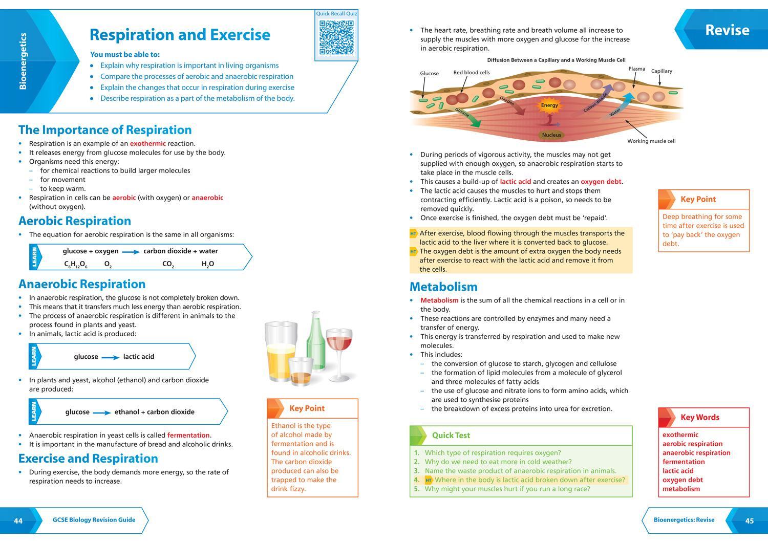 Bild: 9780008160746 | AQA GCSE 9-1 Biology All-in-One Complete Revision and Practice | Gcse