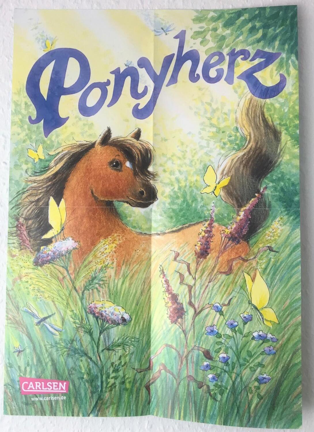 Bild: 9783551650177 | Das große Ponyherz-Vorlesebuch - 33 Geschichten von mutigen Ponys,...
