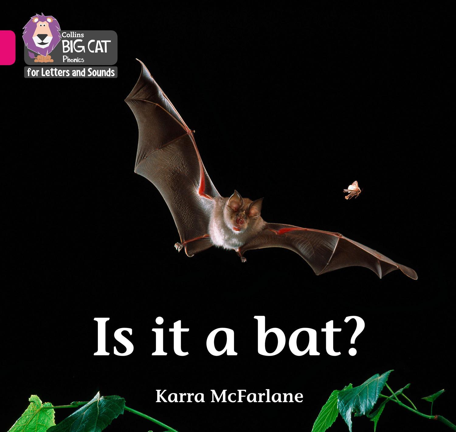 Cover: 9780008351915 | Is it a Bat? | Band 01b/Pink B | Karra McFarlane | Taschenbuch | 2019
