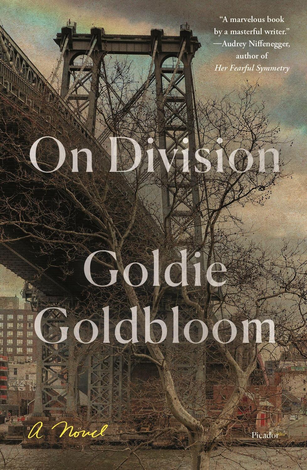 Cover: 9781250757968 | On Division | A Novel | Goldie Goldbloom | Taschenbuch | Englisch