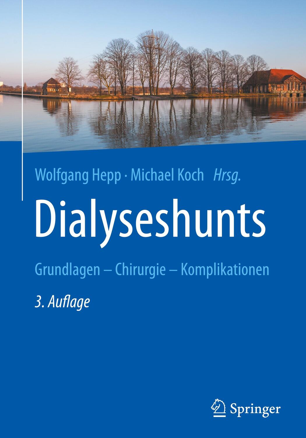 Cover: 9783662526989 | Dialyseshunts | Grundlagen ¿ Chirurgie - Komplikationen | Koch (u. a.)