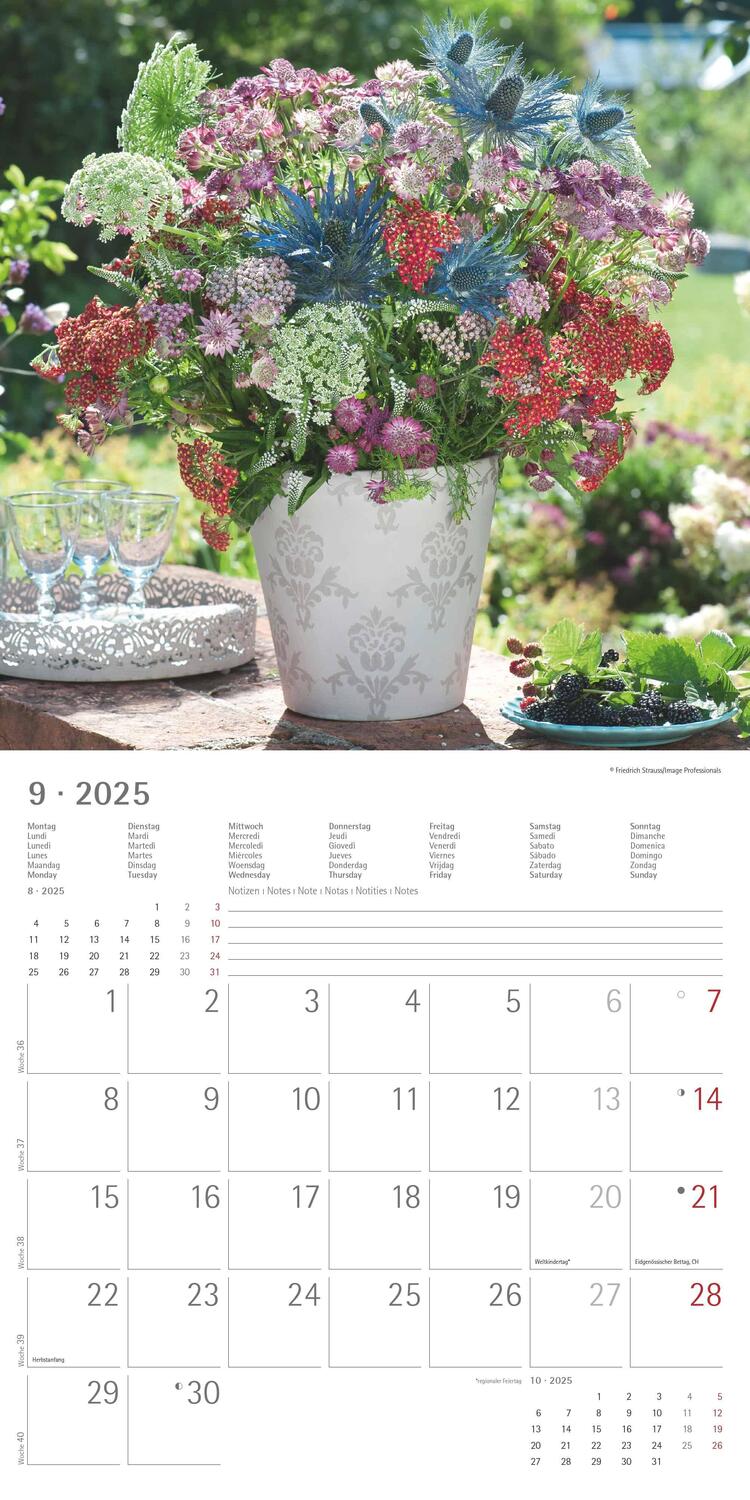 Bild: 4251732340636 | Garden &amp; Decoration 2025 - Broschürenkalender 30x30 cm (30x60...
