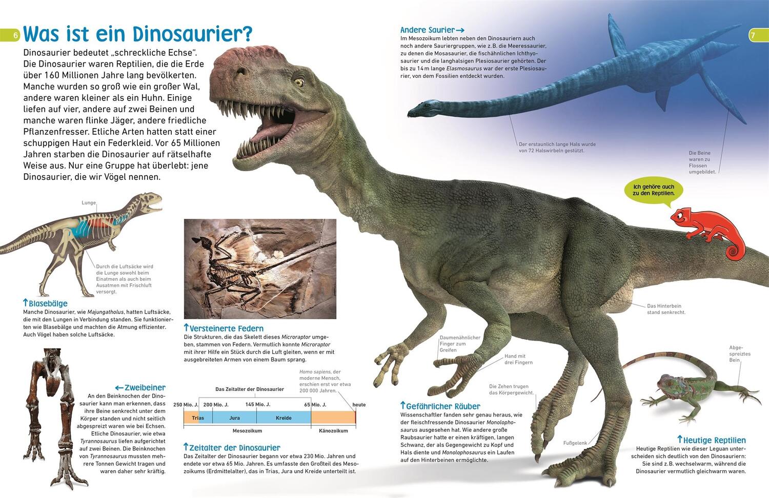 Bild: 9783831033874 | memo Wissen entdecken. Dinosaurier | DK Verlag - Kids | Buch | 72 S.