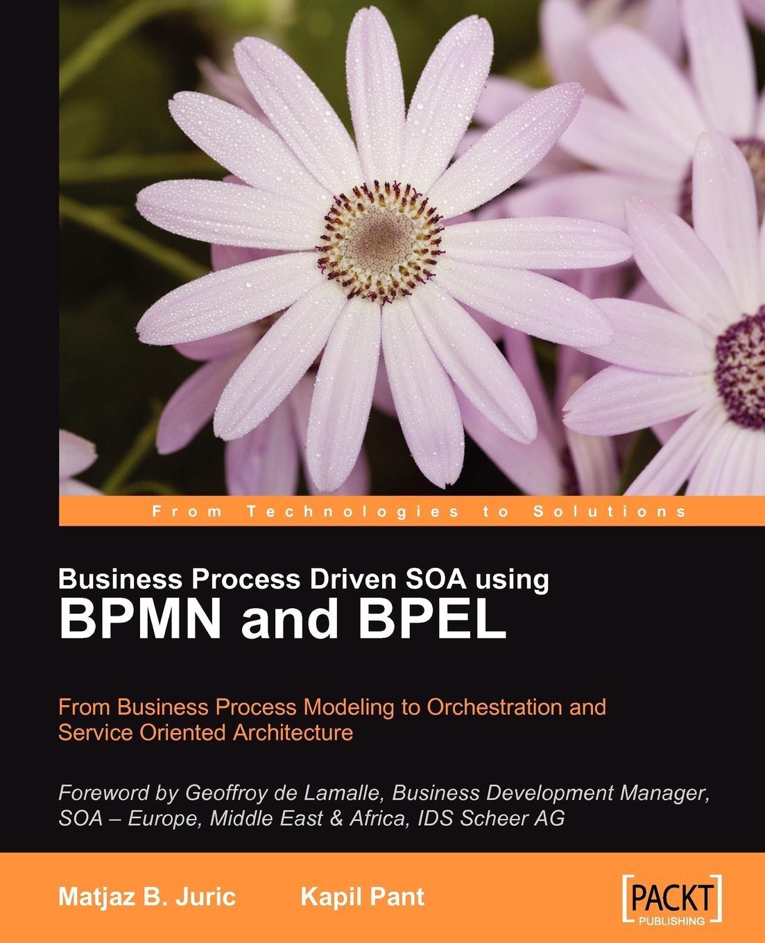 Cover: 9781847191465 | Business Process Driven Soa Using Bpmn and Bpel | Juric (u. a.) | Buch