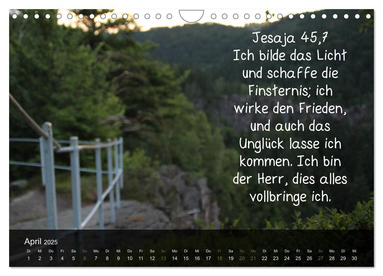 Bild: 9783435768240 | Schöpfung im Licht (Wandkalender 2025 DIN A4 quer), CALVENDO...