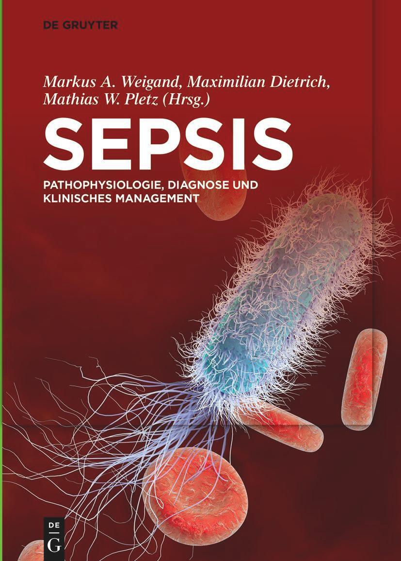Cover: 9783110673364 | Sepsis | Pathophysiologie, Diagnose und klinisches Management | Buch