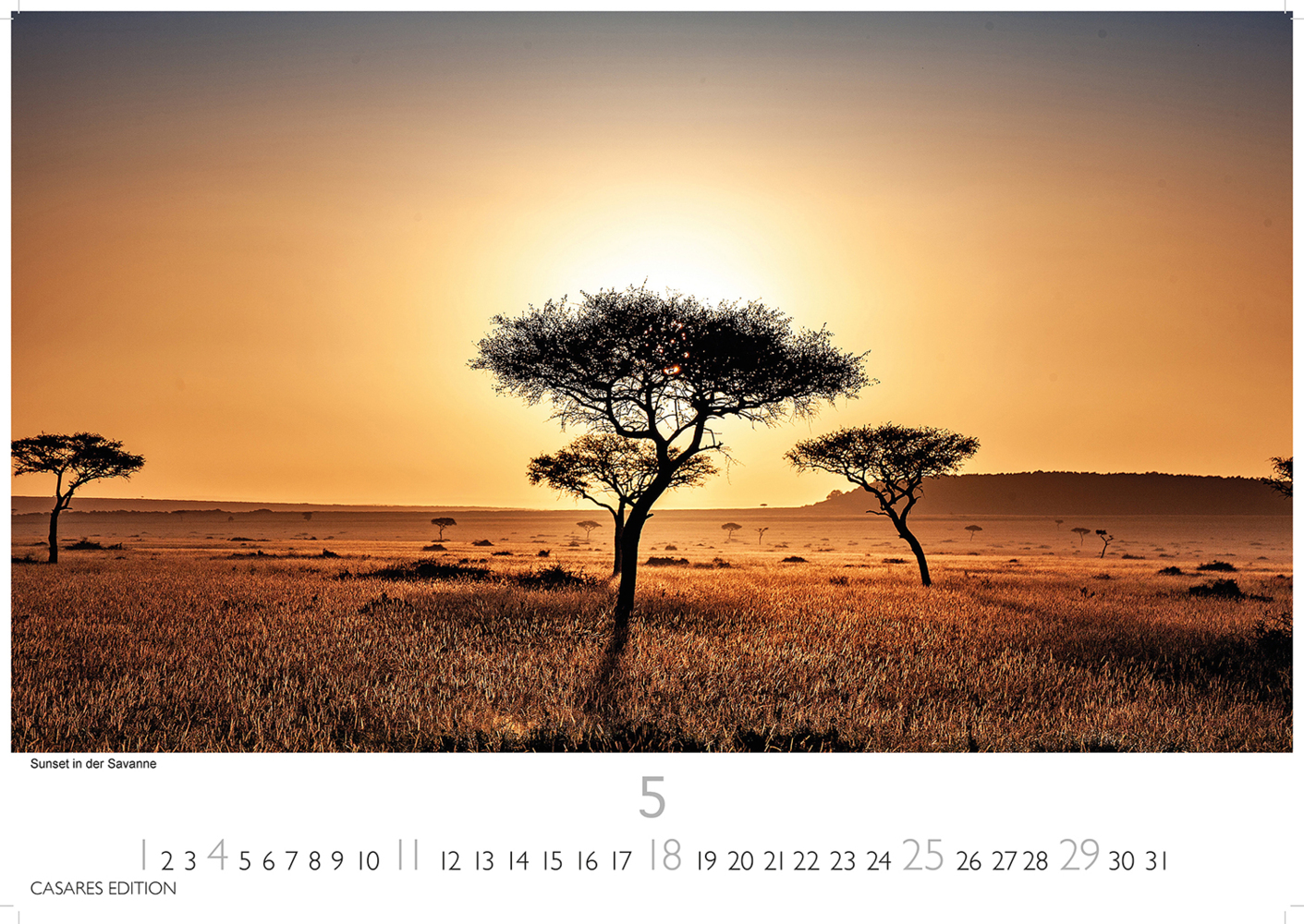 Bild: 9781835240618 | Kenia/Serengeti 2025 S 24x35 cm | Kalender | 14 S. | Deutsch | 2025