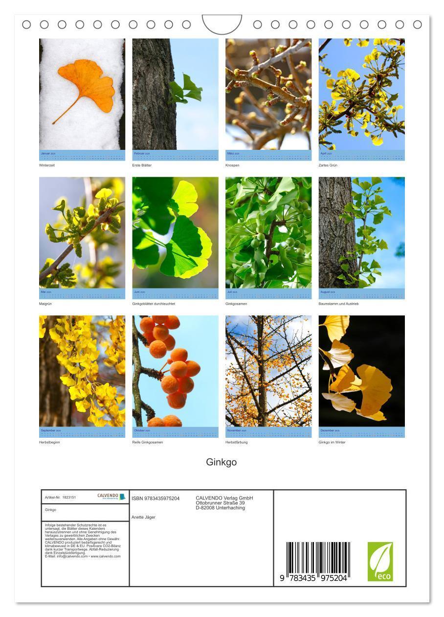 Bild: 9783435975204 | Ginkgo (Wandkalender 2025 DIN A4 hoch), CALVENDO Monatskalender | 2025