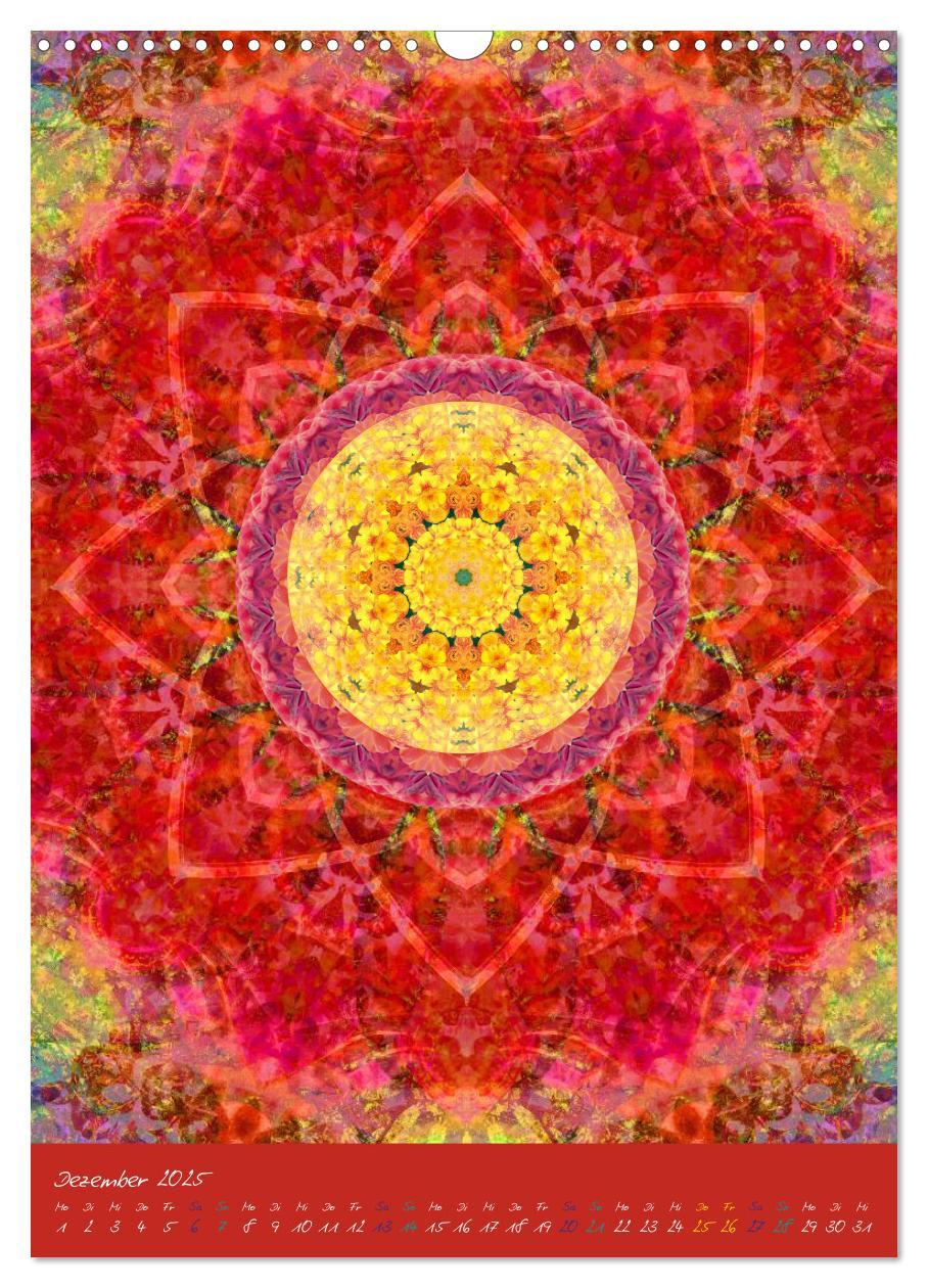 Bild: 9783457042274 | MANDALAS der Natur (Wandkalender 2025 DIN A3 hoch), CALVENDO...