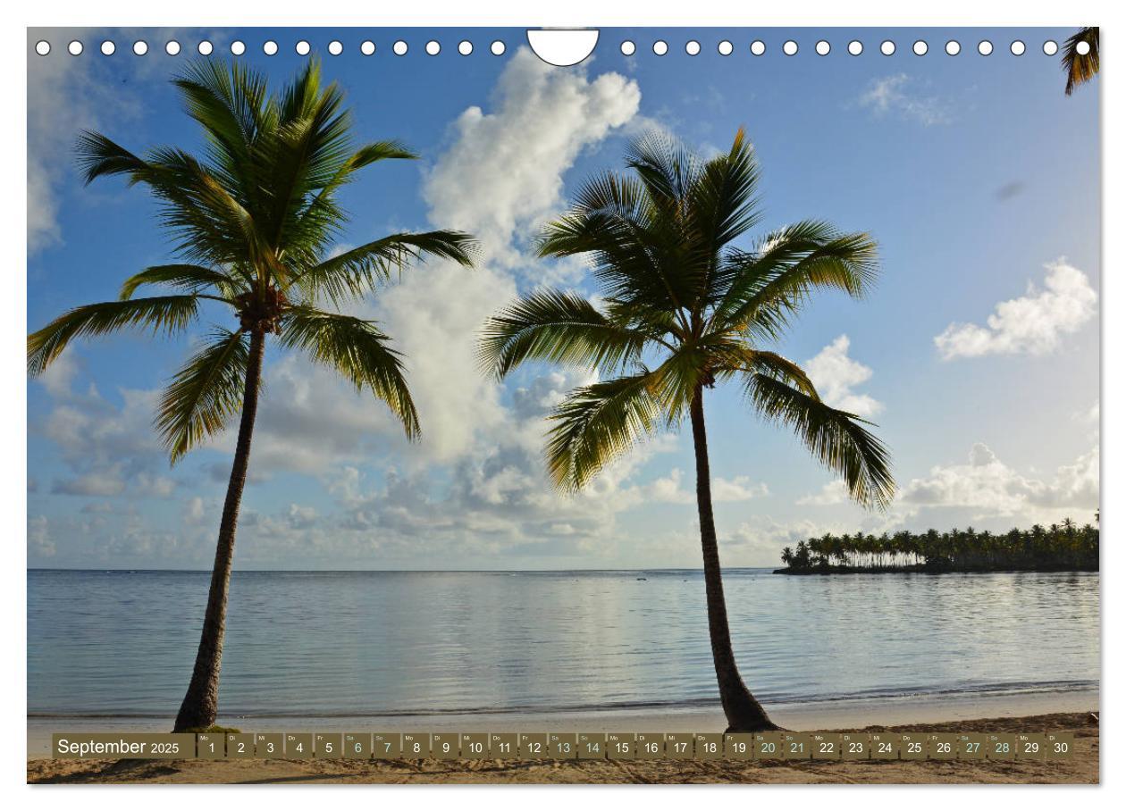 Bild: 9783435352425 | Samana - Palmen und Strände (Wandkalender 2025 DIN A4 quer),...