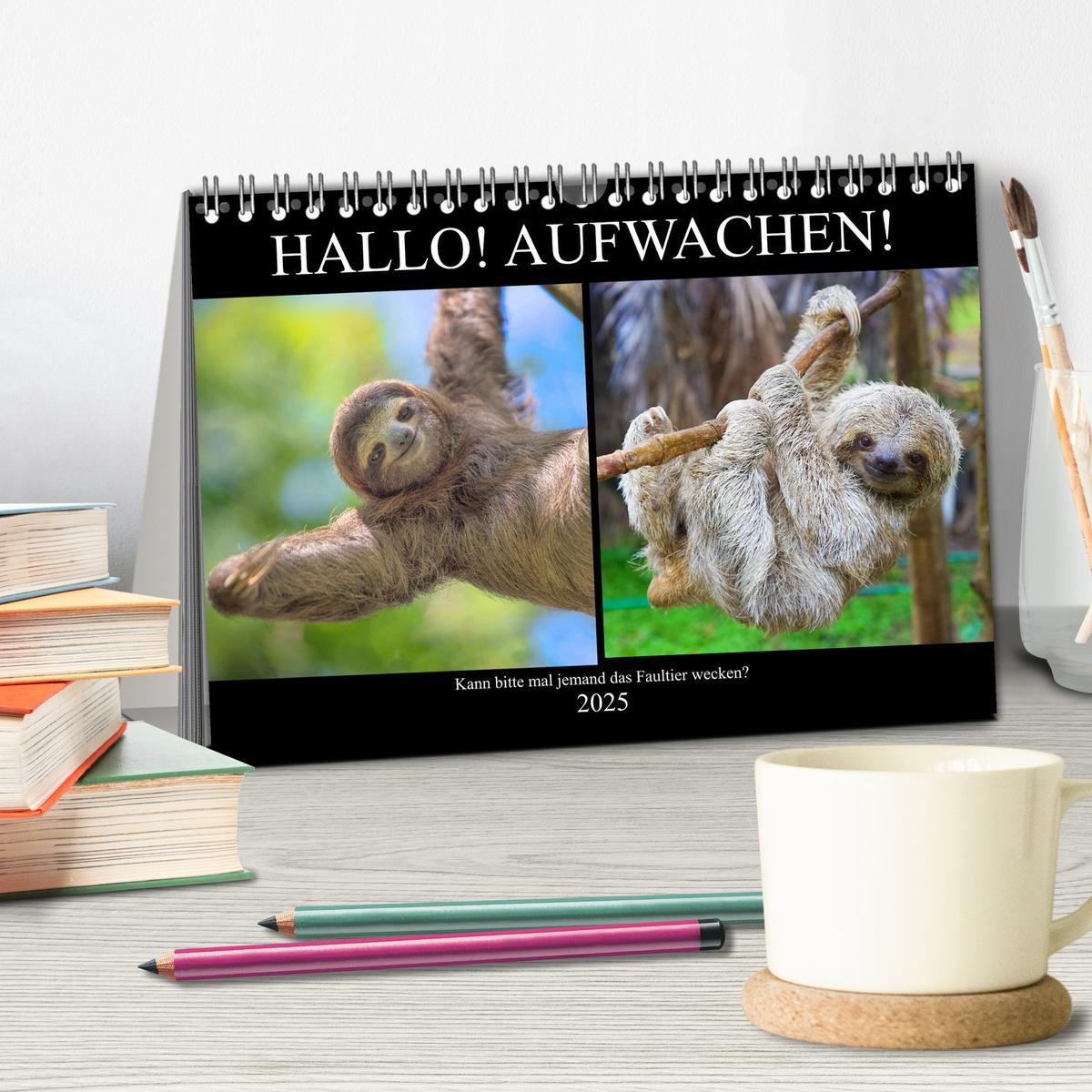 Bild: 9783435300778 | Hallo! Aufwachen! Kann bitte mal jemand das Faultier wecken?...