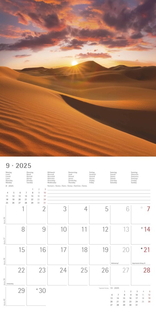 Bild: 4251732340902 | Alpha Edition - Sunny Moments 2025 Broschürenkalender, 30x30cm,...