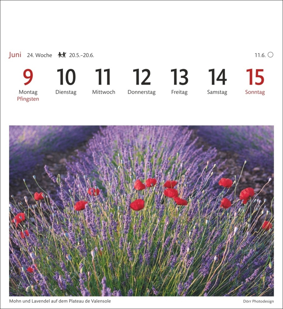 Bild: 9783840033421 | Provence Sehnsuchtskalender 2025 - Wochenkalender mit 53 Postkarten