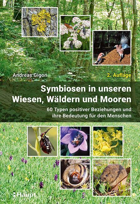 Cover: 9783258082486 | Symbiosen in unseren Wiesen, Wäldern und Mooren | Andreas Gigon | Buch