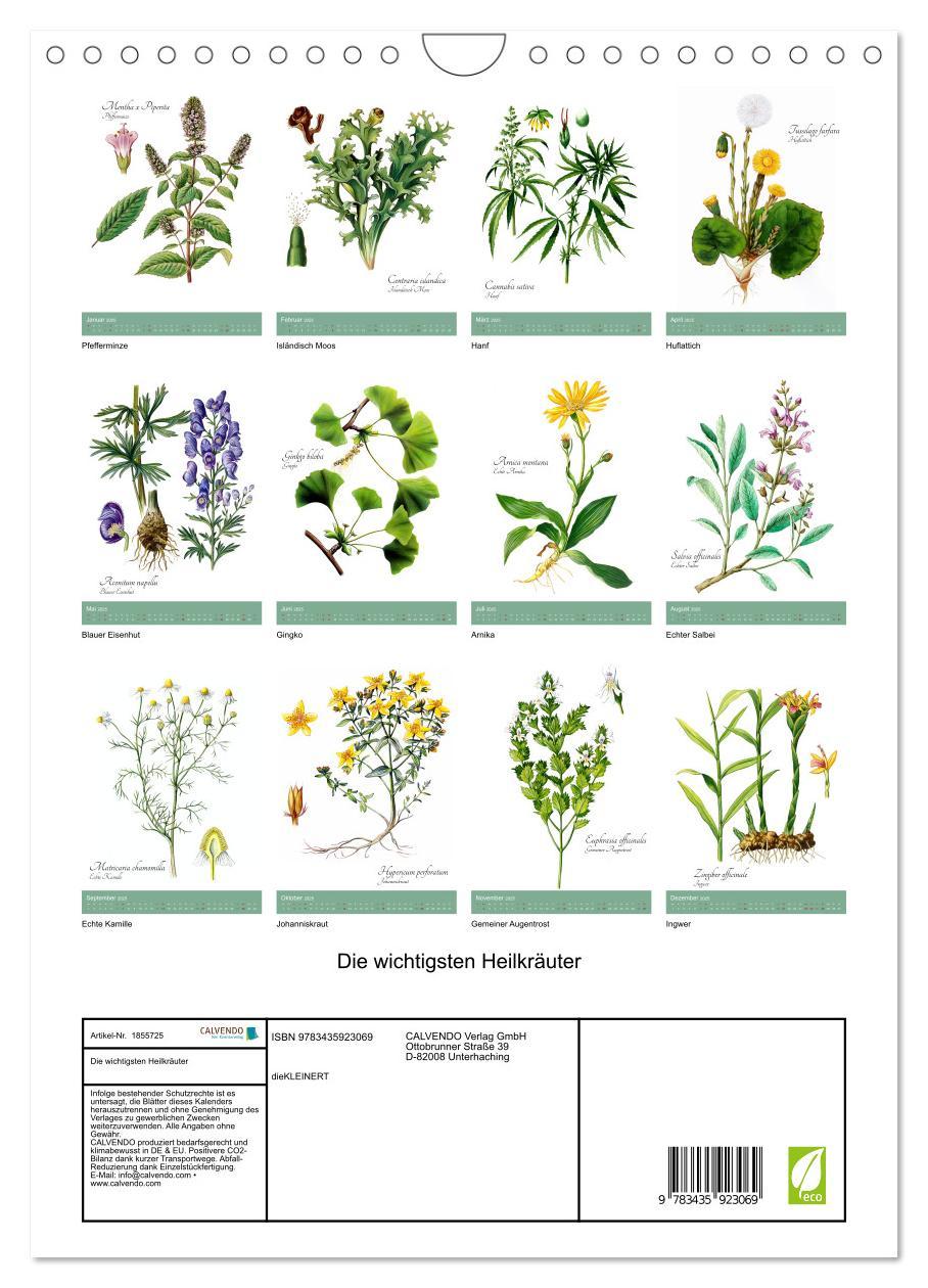 Bild: 9783435923069 | Die wichtigsten Heilkräuter (Wandkalender 2025 DIN A4 hoch),...