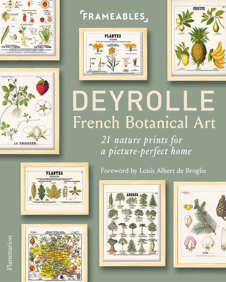 Cover: 9782081522060 | Deyrolle: French Botanical Art | Emmanuelle Polle | Taschenbuch | 2020