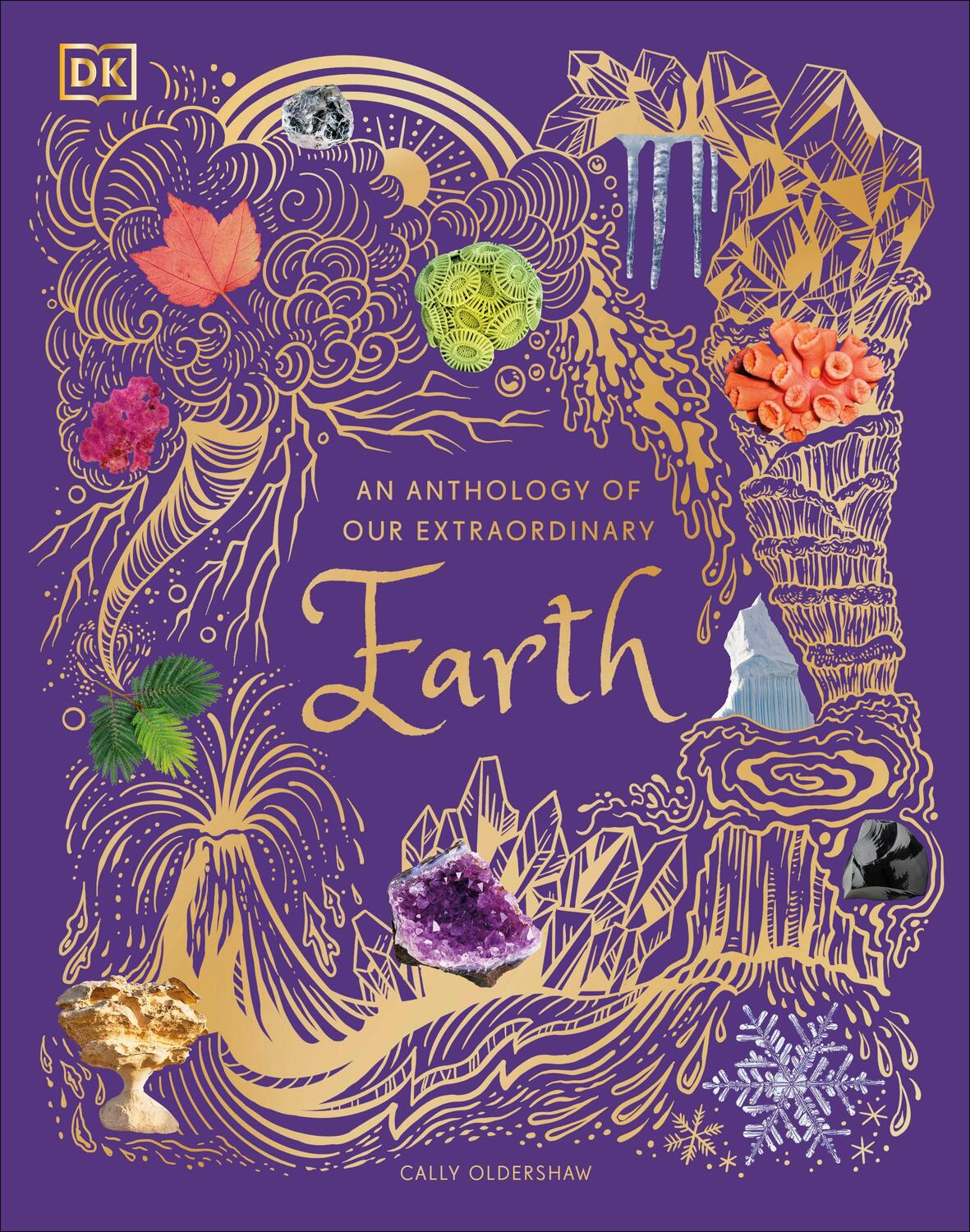 Cover: 9780241585375 | An Anthology of Our Extraordinary Earth | Cally Oldershaw | Buch