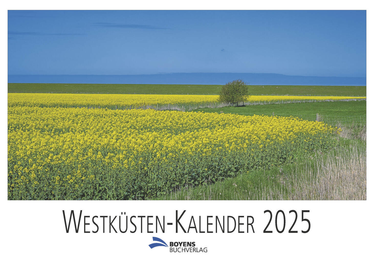 Cover: 9783804215740 | Westküsten-Kalender 2025 | Ingo Lau | Kalender | 13 S. | Deutsch