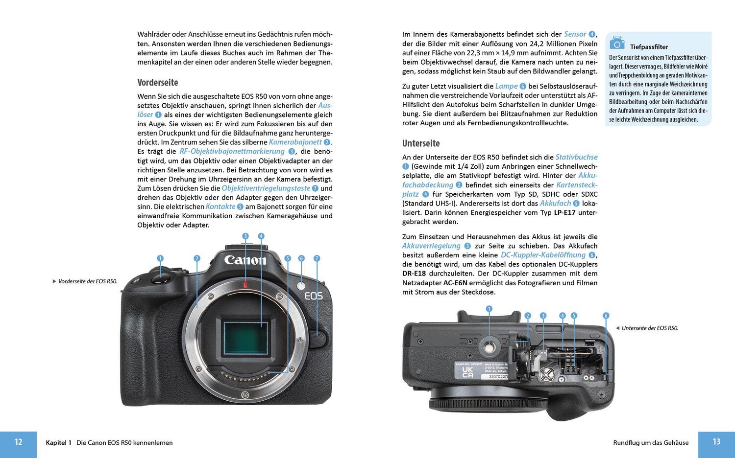 Bild: 9783832806194 | Canon EOS R50 | Das umfangreiche Praxisbuch zu Ihrer Kamera! | Buch