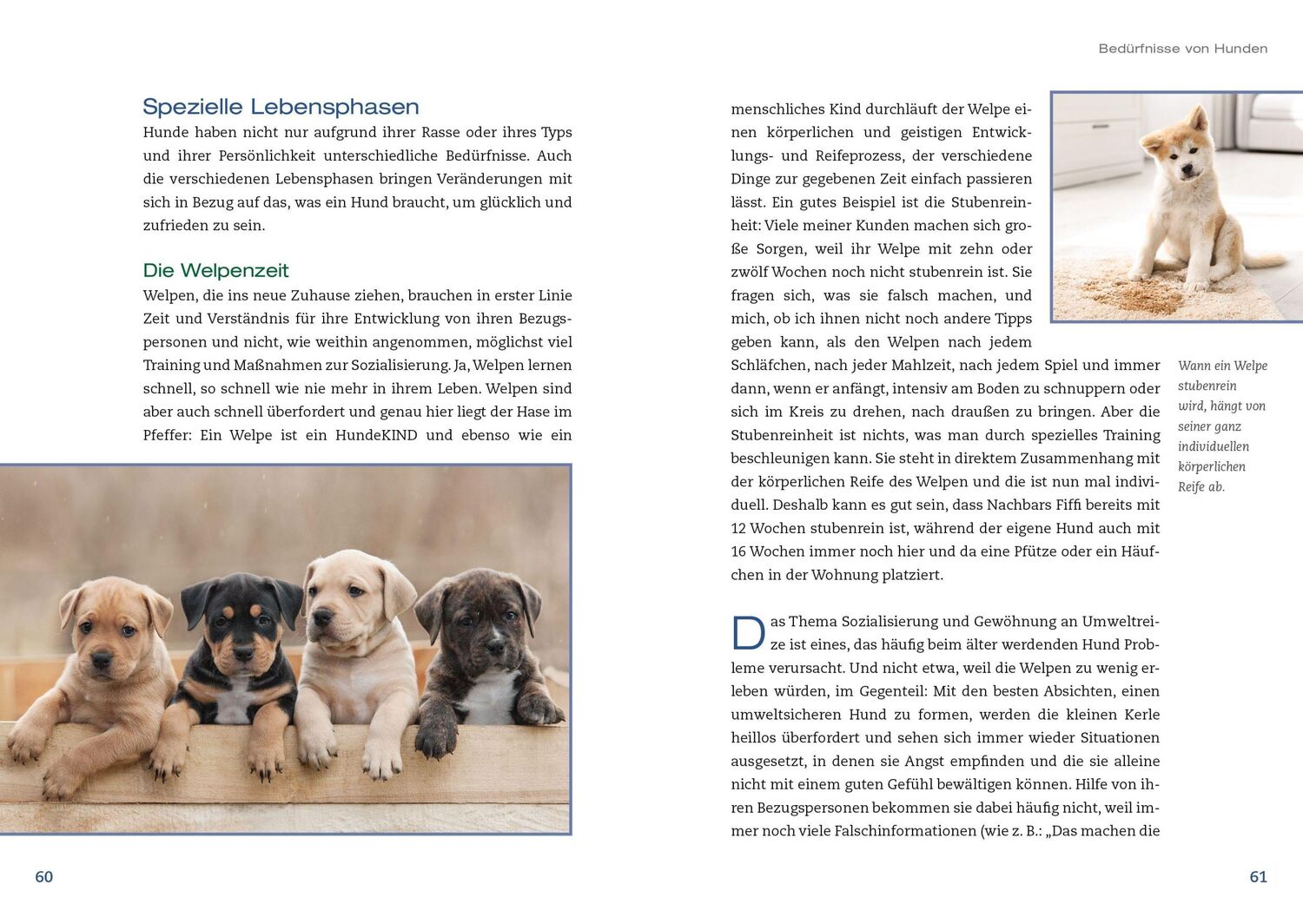 Bild: 9783936188783 | Hunde achtsam führen | Maria Rehberger | Buch | 184 S. | Deutsch