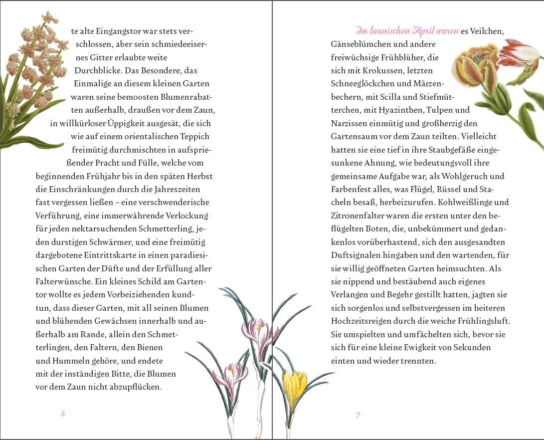 Bild: 9783799511247 | Der kleine Schmetterlingsgarten | Rosemarie Doms | Buch | Deutsch