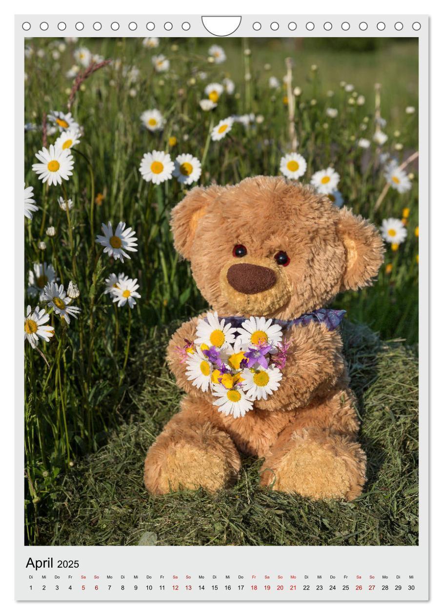 Bild: 9783435985371 | Travelling Teddy in Europa (Wandkalender 2025 DIN A4 hoch),...