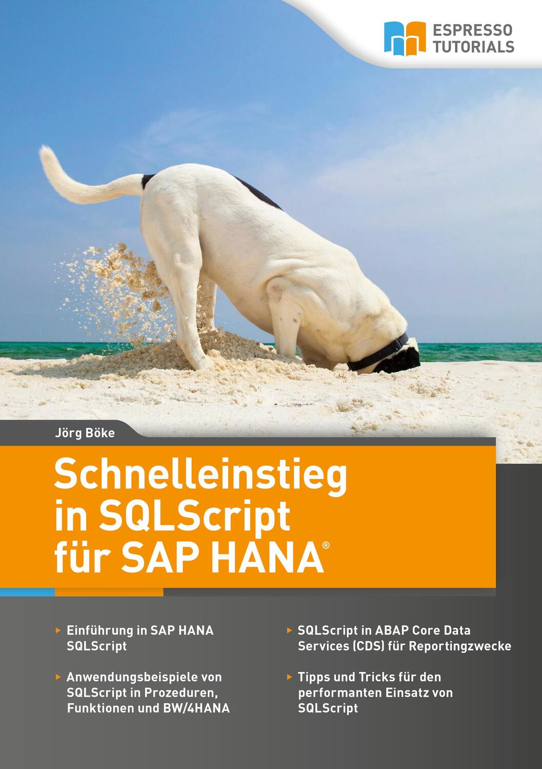 Cover: 9783960123866 | Schnelleinstieg in SQLScript für SAP HANA | Jörg Böke | Taschenbuch