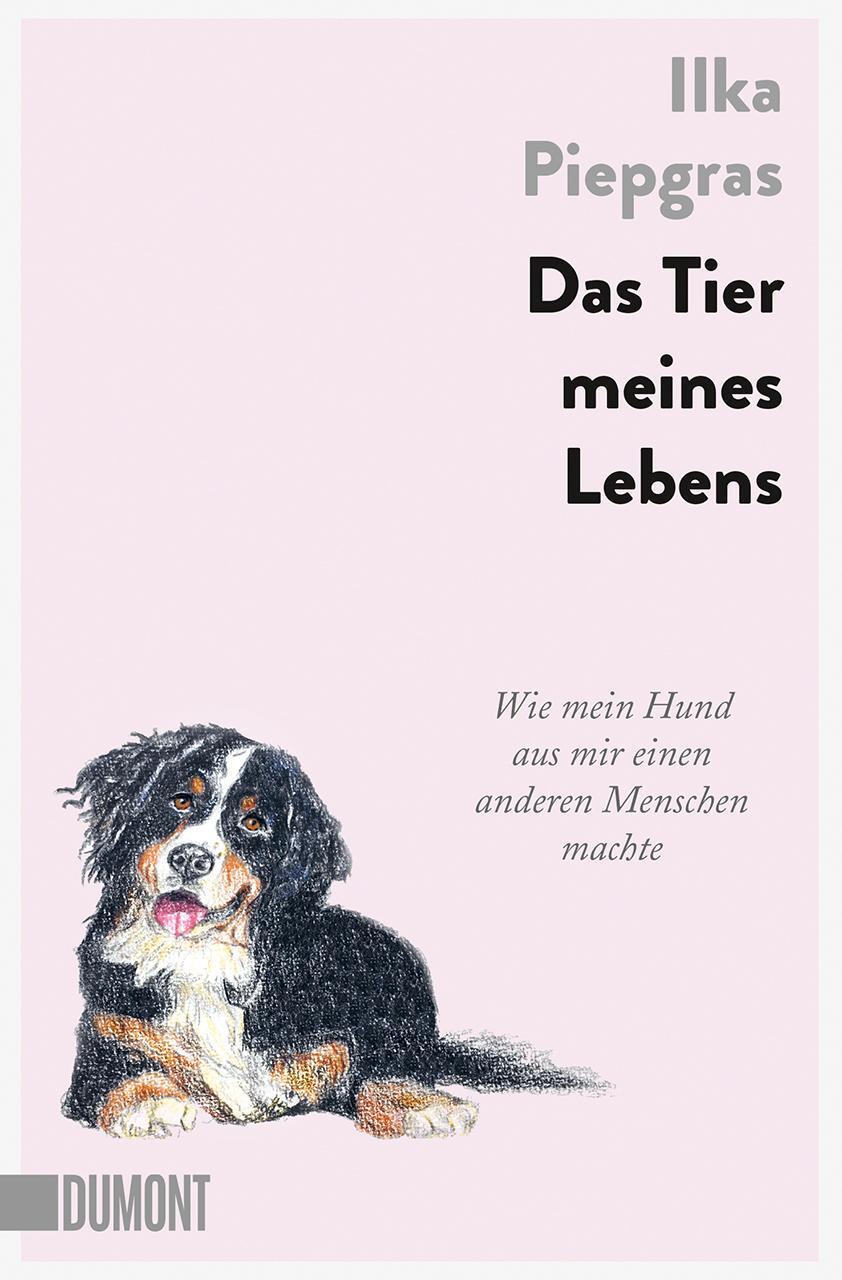 Cover: 9783832166885 | Das Tier meines Lebens | Ilka Piepgras | Taschenbuch | Deutsch | 2023